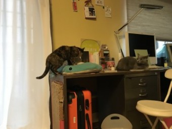 IMG_1262 IMG_1262-e1539502526919